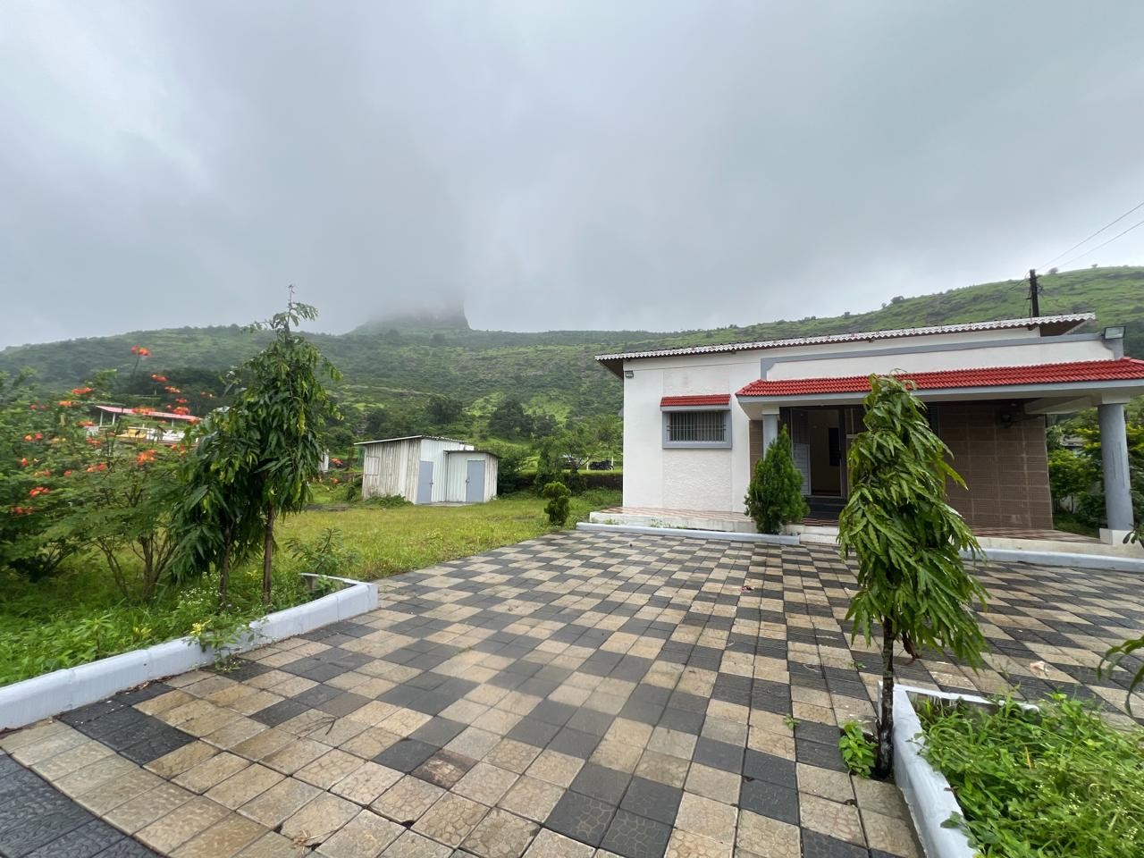 Sai Farm